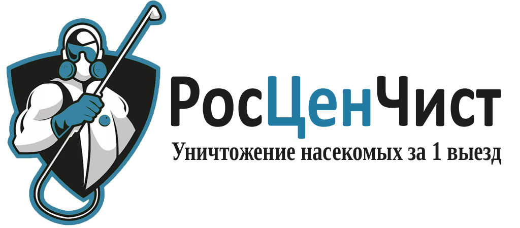 Дезинфекция